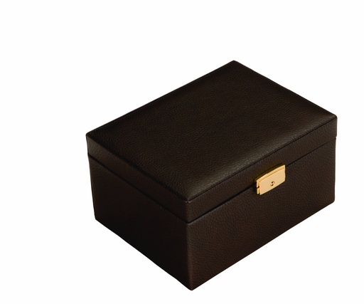 [601 LM] Chocolate Leather Chest