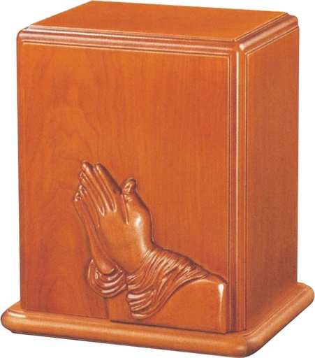 [702 PH] Praying Hands