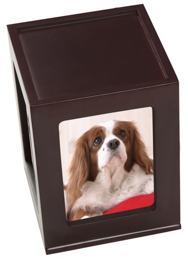 [708 DDP] Pet Photo Urn