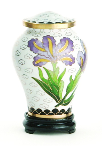 [814 CR] White Iris Miniature